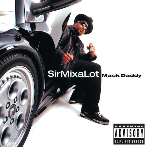 cover: Baby Got Back, Sir Mix-A-Lot, Gesang, Gitarre, Klavier