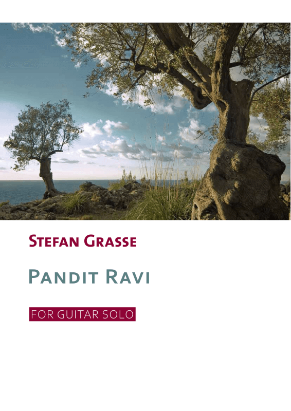 Produktbild zu: Pandit RaviStefan Grasse
