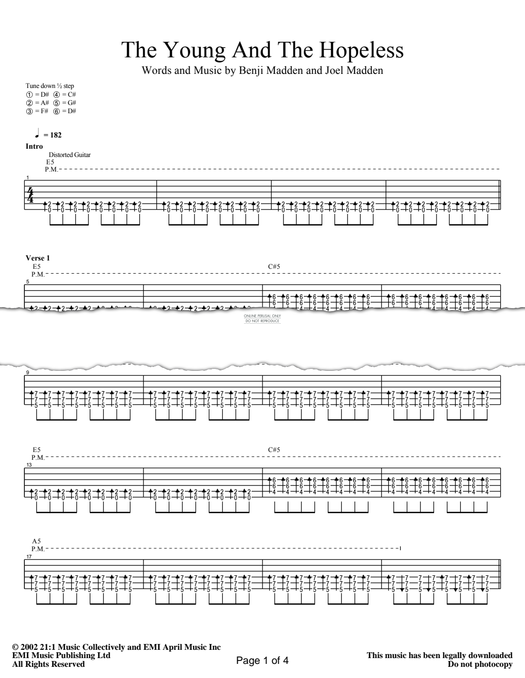 gallery: The Young And The Hopeless, Good Charlotte, Gitarre