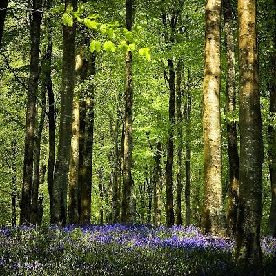 cover: If It's Ever Spring Again, Christopher Le Fleming, Gesang, Klavier