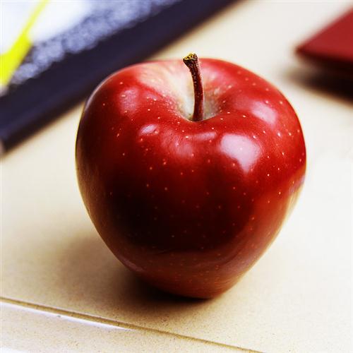 cover: Teacher's Pet, Joe Lubin, Gesang, Gitarre, Klavier
