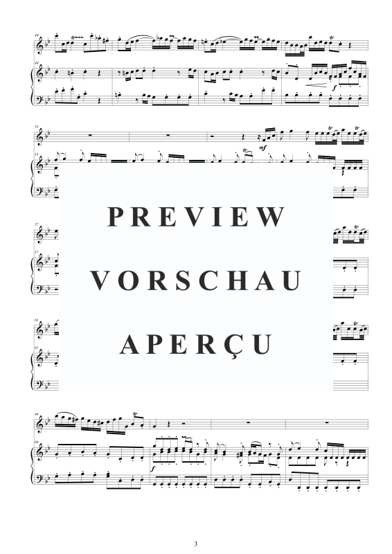 Produktgalerie: Seite 4 von 11 Flute Concerto in G minor, , Flöte und Cembalo