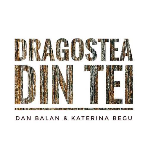 cover: Dragostea Din Tei, Dan Balan