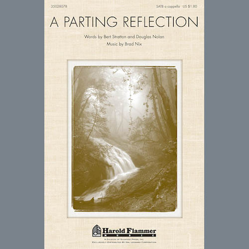 cover: A Parting Reflection, Brad Nix
