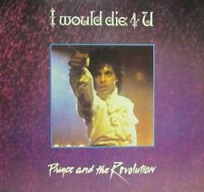 cover: I Would Die 4 U, Prince & The Revolution, Gesang, Gitarre, Klavier