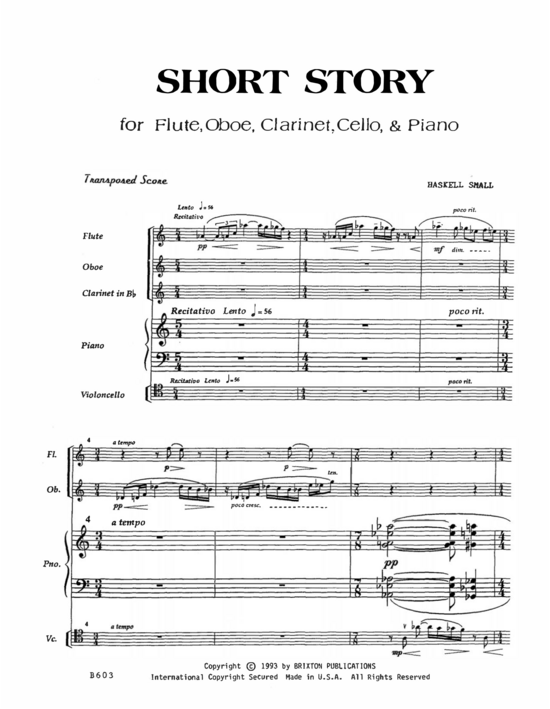 Product picture to: Short Story Haskell Small