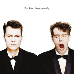 cover: I Want A Dog, Pet Shop Boys, Gesang, Gitarre, Klavier