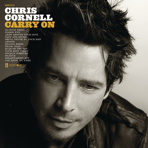 cover: Billie Jean, Chris Cornell, Gitarre