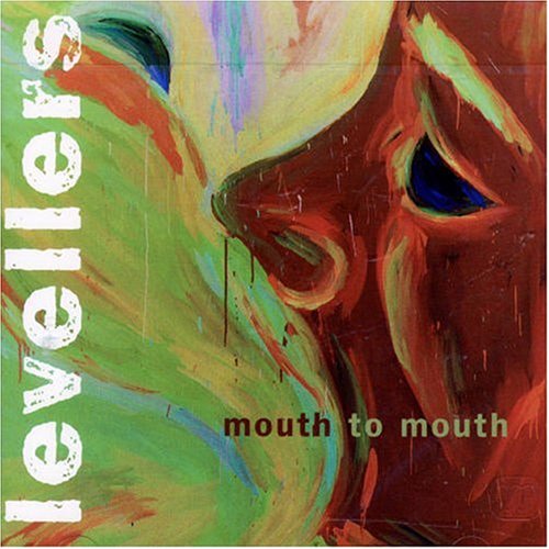 cover: Chemically Free, The Levellers, Gesang, Gitarre, Klavier
