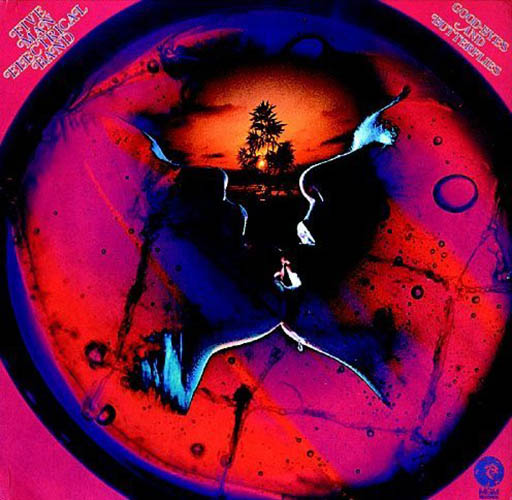 cover: Signs, Five Man Electrical Band, Gitarre