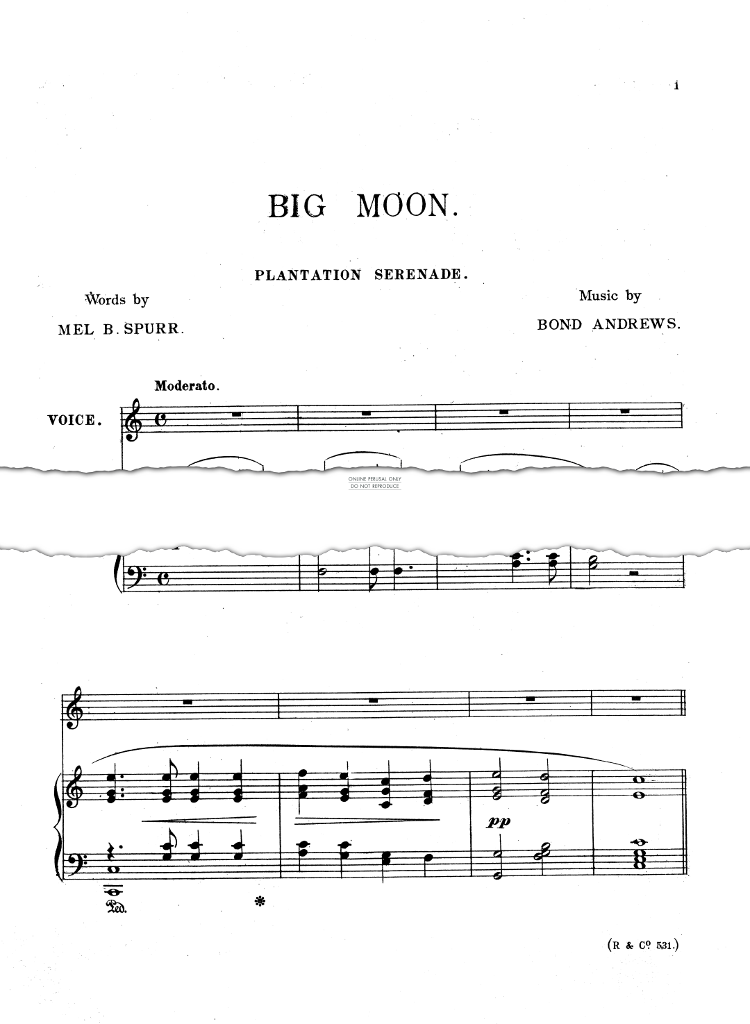 Produktgalerie: Seite 1 von 1 Big Moon, Bond Andrews, Banjo, Chor, Gesang, Klavier