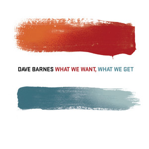 cover: Little Lies, Dave Barnes, Gesang, Gitarre, Klavier