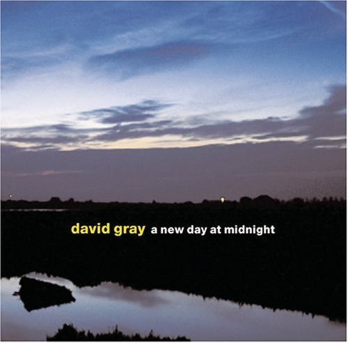 cover: Dead In The Water, David Gray