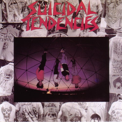 Produktbild zu: Institutionalized