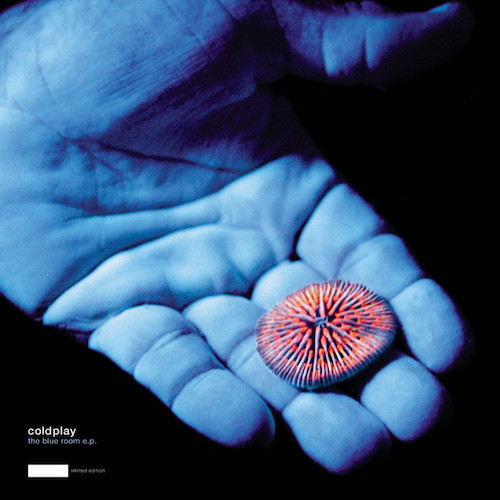 cover: See You Soon, Coldplay, Melodieinstrumente