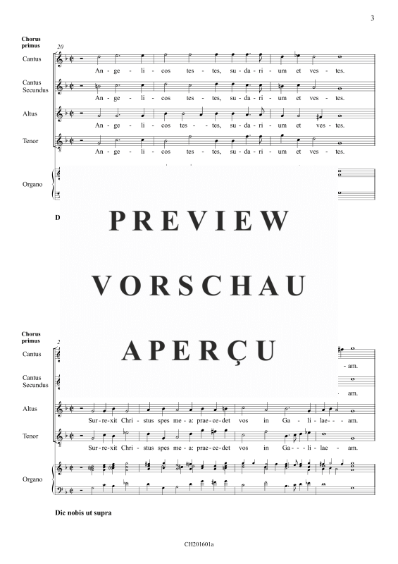 gallery: Dic nobis Maria, , Gemischter Chor 8-stimmig und BC