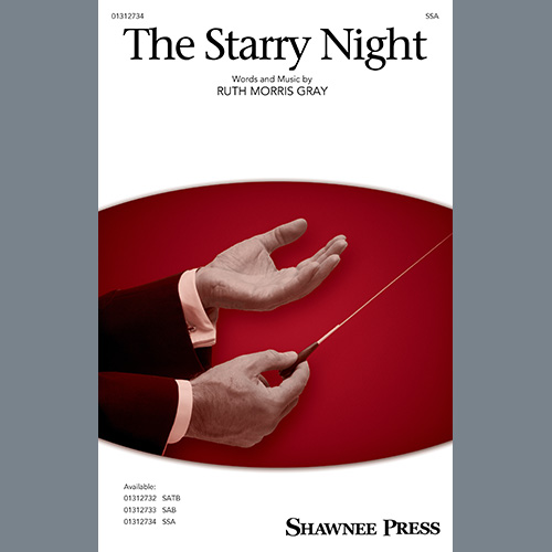 Produktbild zu: The Starry Night