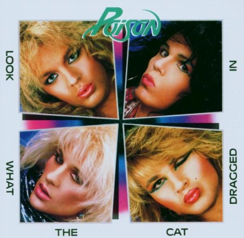 cover: Talk Dirty To Me, Poison