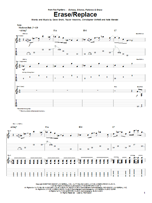Product gallery: Page 1 of 1 Erase/Replace, Foo Fighters