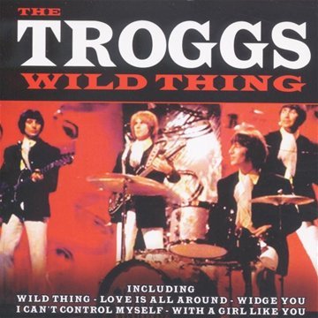 cover: With A Girl Like You, The Troggs, Gesang, Gitarre, Klavier
