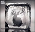 cover: Black & Blue, Miike Snow