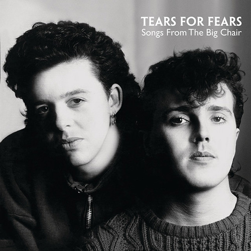cover: Everybody Wants To Rule The World, Tears for Fears