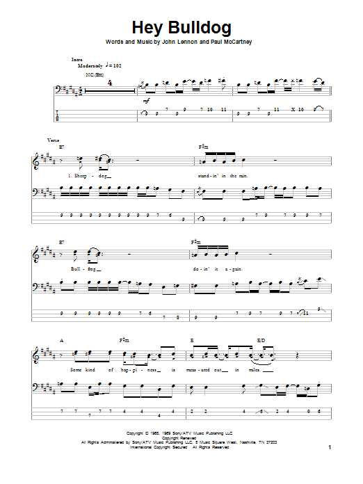 Produktgalerie: Seite 1 von 1 Hey Bulldog, The Beatles, E-Bass