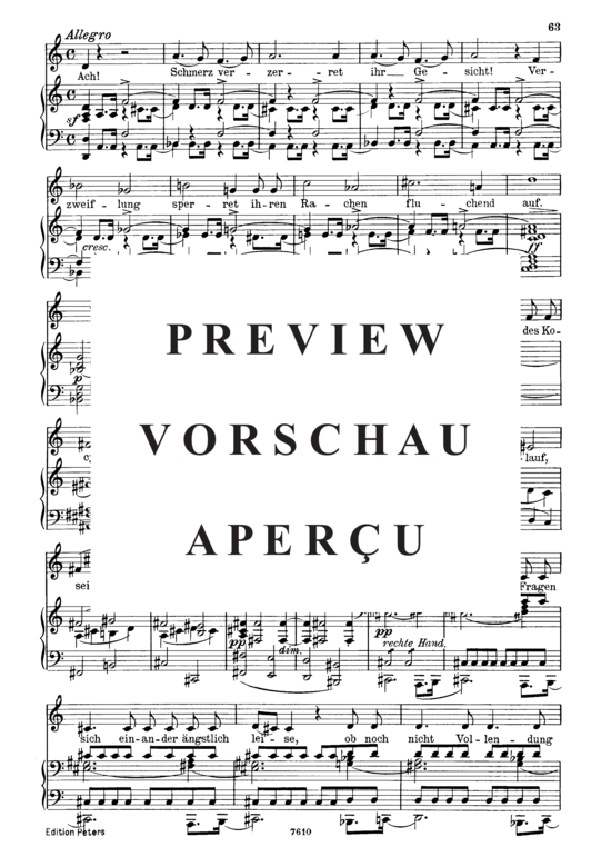 Product gallery: Page 4 of 6 Gruppe aus dem Tartarus D.583, , Low Voice and Piano