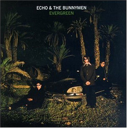 cover: Nothing Lasts Forever, Echo & The Bunnymen, Gitarre