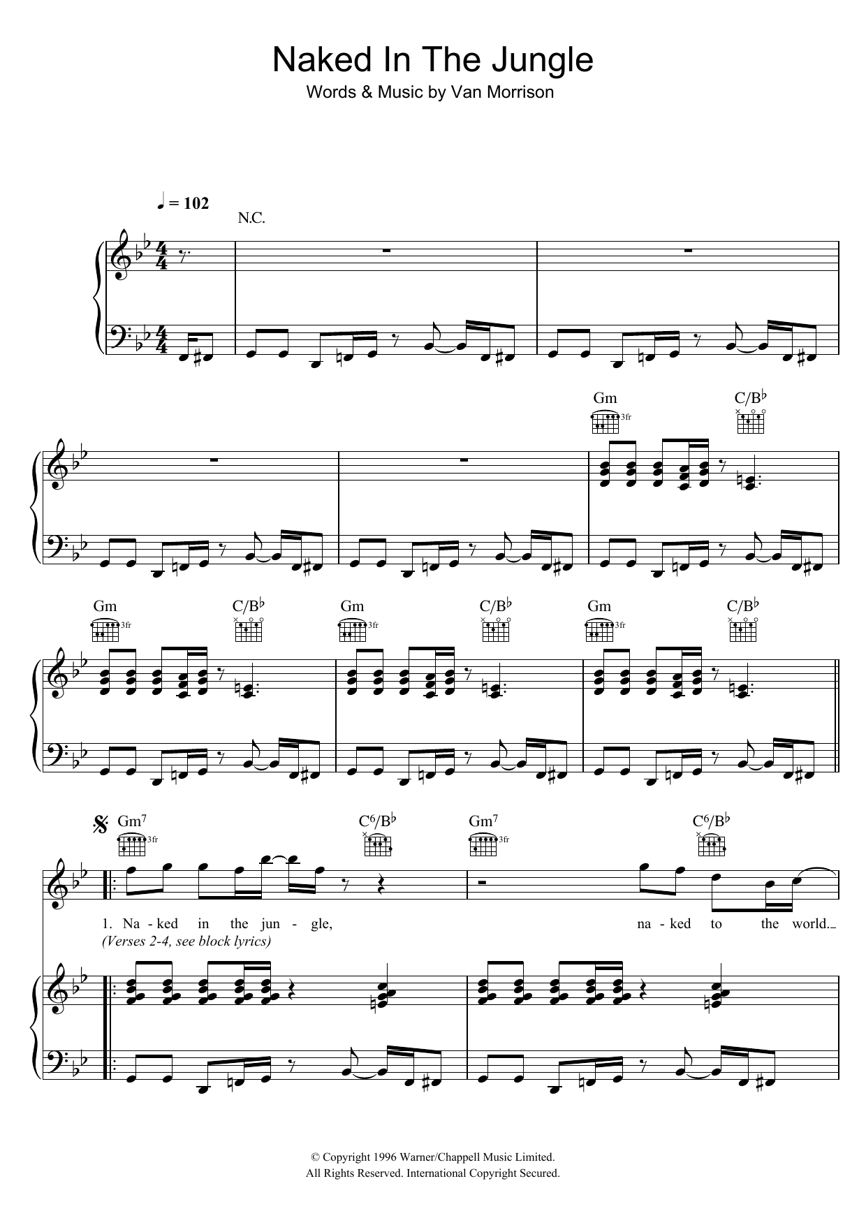 Produktgalerie: Seite 1 von 1 Naked In The Jungle, Van Morrison, Gesang, Gitarre, Klavier