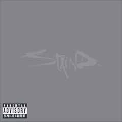 cover: Price To Play, Staind, Gesang, Gitarre