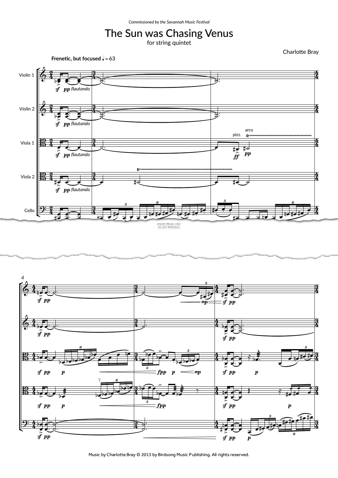 gallery: The Sun Was Chasing Venus, Charlotte Bray, Viola, Violine, Violoncello