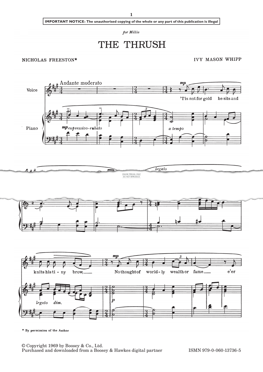 gallery: The Thrush, Mason Ivy Whipp, Gesang, Klavier