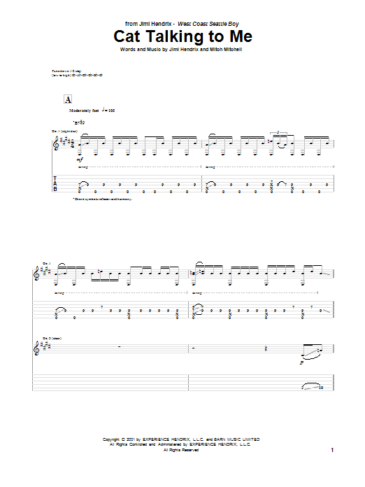 Produktgalerie: Seite 1 von 1 Cat Talking To Me, Jimi Hendrix, Gitarre