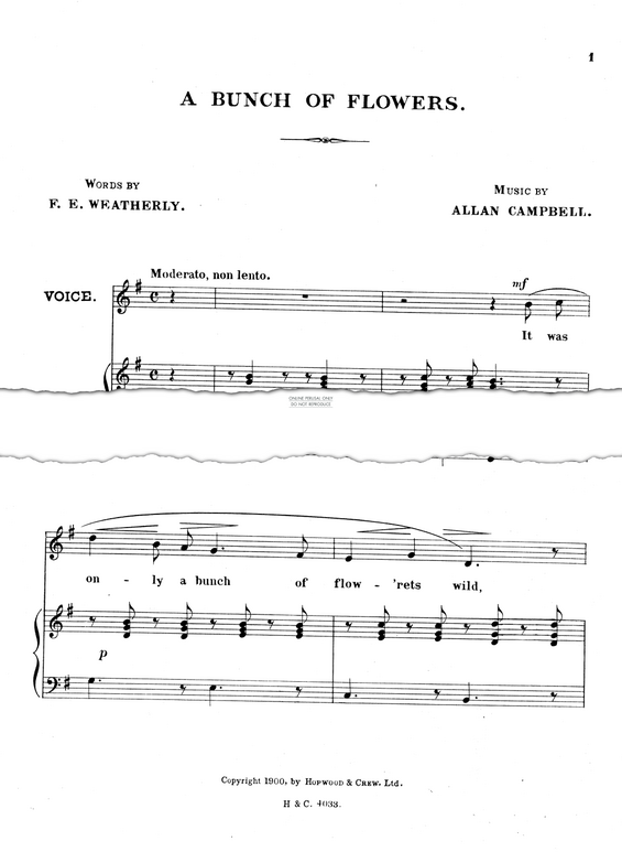 Produktgalerie: Seite 1 von 1 A Bunch Of Flowers, Allan Campbell, Gesang, Klavier