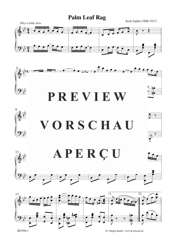 gallery: Palm Leaf Rag, , (Klavier Solo)