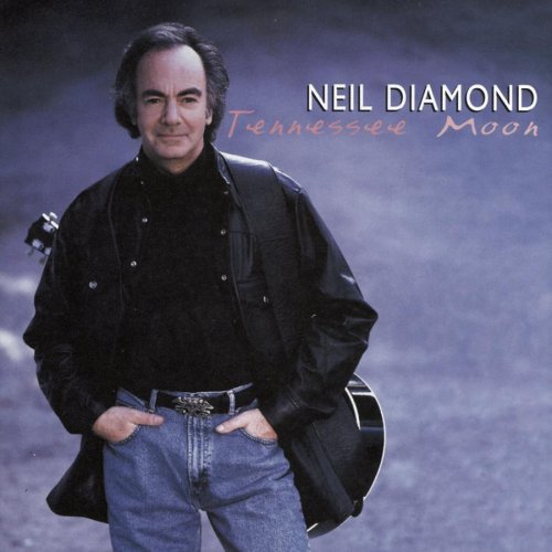 cover: Marry Me, Neil Diamond, Gitarre