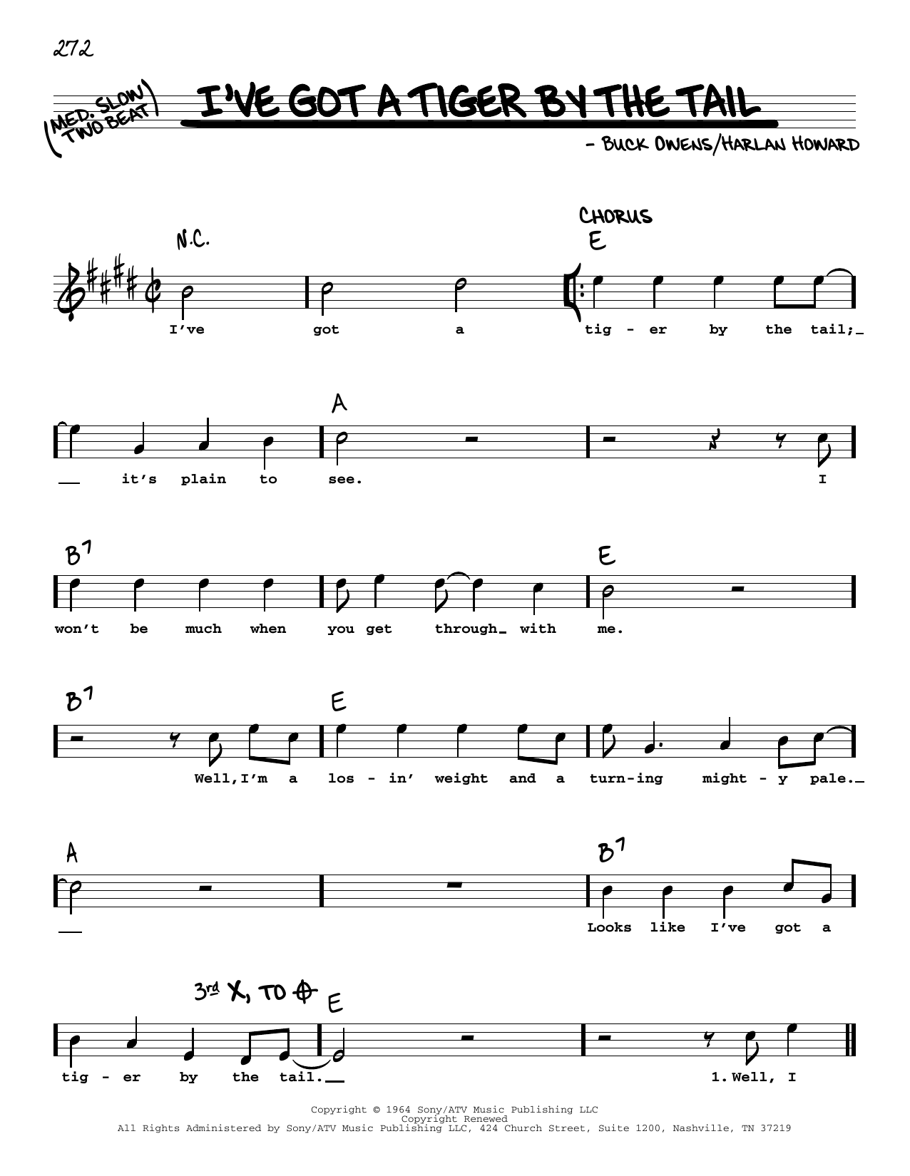Produktbild zu: I've Got A Tiger By The Tail