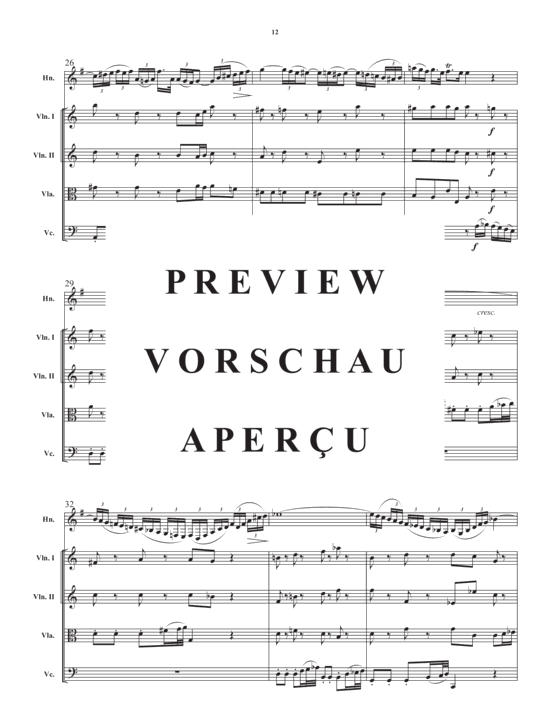 Produktgalerie: Seite 14 von 21 Concerto in a minor , , (Streicher Quartett + Horn in F Solo)