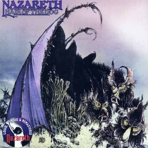 cover: Hair Of The Dog, Nazareth, Gitarre