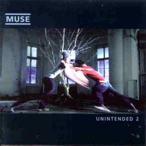 cover: Nishe, Muse, Gitarre