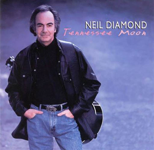 cover: Marry Me, Neil Diamond, Gesang, Gitarre, Klavier