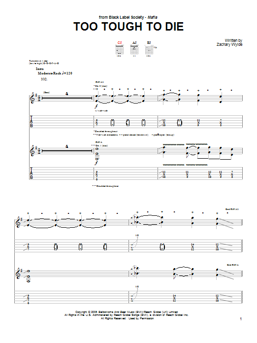 Produktgalerie: Seite 1 von 1 Too Tough To Die, Black Label Society, Gitarre