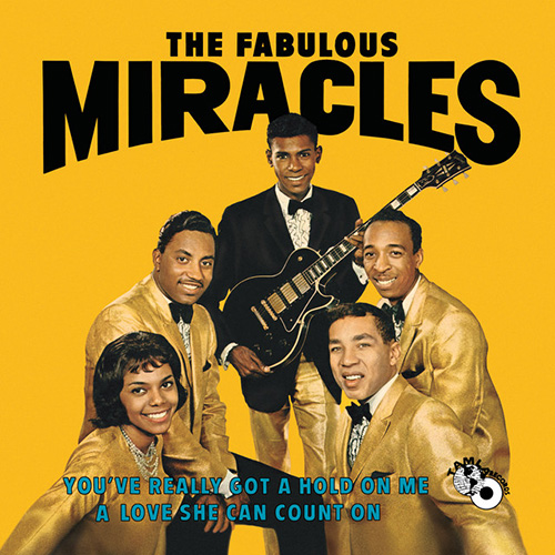 cover: You've Really Got A Hold On Me, Smokey Robinson & The Miracles, Gesang, Gitarre, Klavier