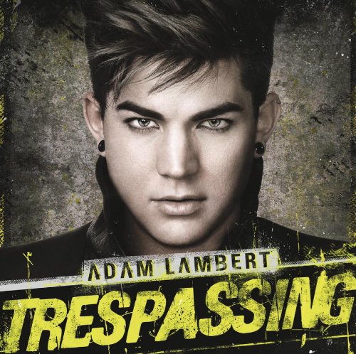 cover: Never Close Our Eyes, Adam Lambert, Gesang, Gitarre, Klavier
