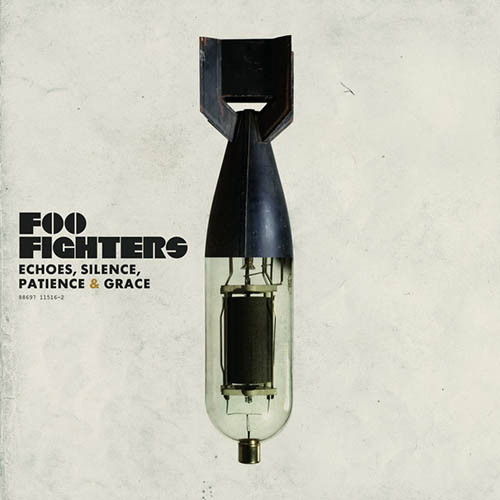 cover: Long Road To Ruin, Foo Fighters, Gesang, Gitarre, Klavier