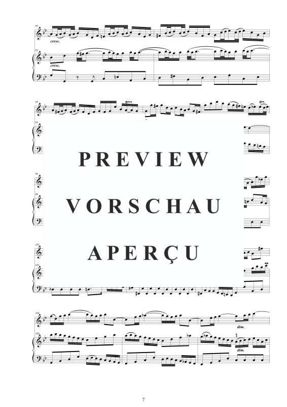 Produktgalerie: Seite 8 von 11 Flöten Sonate Nr. 3 in G-Moll BWV 1029, , Flöte und Cembalo/Klavier