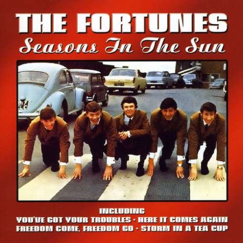 cover: Freedom Come, Freedom Go, The Fortunes, Gesang, Gitarre, Klavier