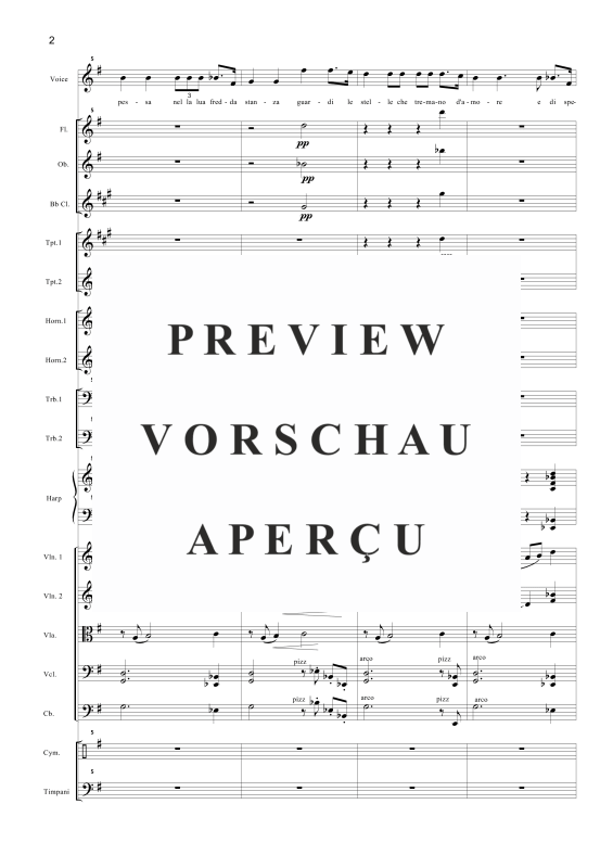Produktgalerie: Seite 5 von 11 Nessun Dorma, , Tenor Solo und Orchester