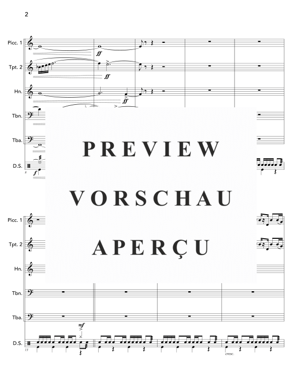 Produktgalerie: Seite 6 von 11 Peacockery, , (Blechbläser Quintett und Drum Set)